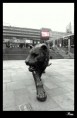 /album/statues/frame-tiger-jpg/